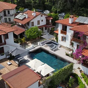 https://tomsan-villas-akyaka.aegeanhotels.net